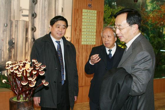 必一运动